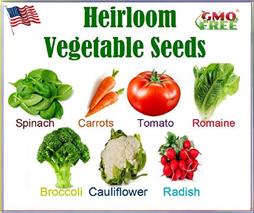 Heirloom Vegetable Seeds - Non Gmo- Easy To Grow - Variety Of The Most Popular Vegetable Seeds- Variety Of Vegetable