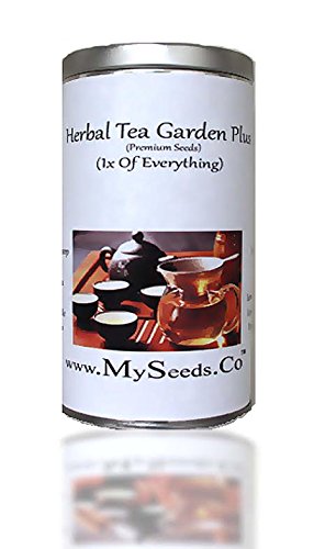 Herbal Tea Garden Plus Seeds Kit - (12 Easy-to-grow Herbs) From Anise Hyssop To Peppermint - By Myseeds.co