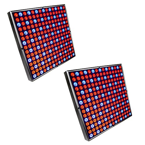 HQRP 90W 450 Red Blue LED Light Panels 2x 12 Square Lamps for Growing Indoor Plants Flowers Fruits Vegetables plus Hanging Kit  HQRP UV Meter