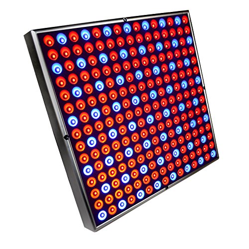 HQRP Powerful 45W 225 Red Blue LED Light Panel 12 Square Lamp for Growing Indoor Plants Flowers Fruits Vegetables plus Hanging Kit  HQRP UV Meter