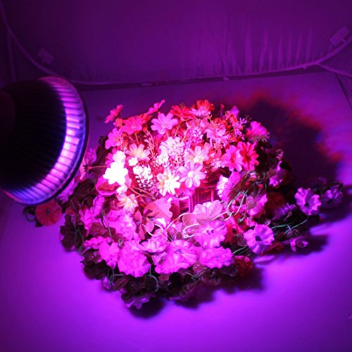 LED Grow Lights Bulb 15W E27 Grow Lights Bulb 10 RED Leds 5 Blue Leds for Indoor PlantsFlower Plant Hydroponics System