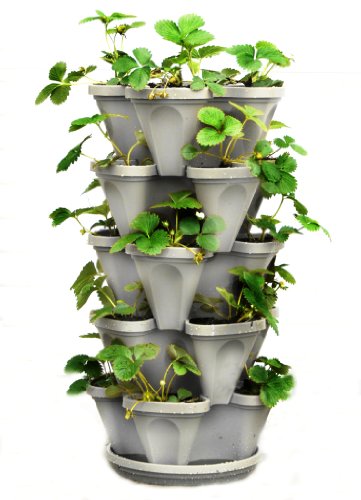 5 Tier Stackable Strawberry Herb Flower And Vegetable Planter  - Vertical Garden Indoor  Outdoor