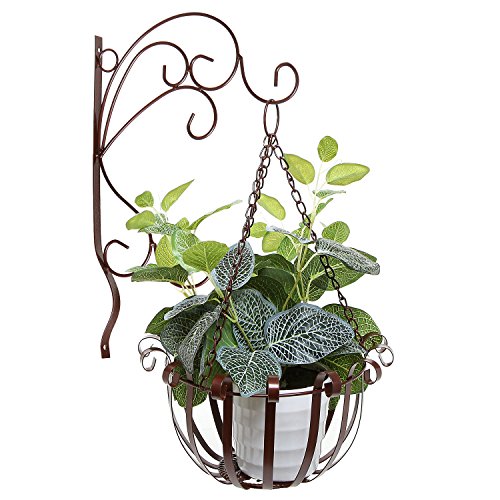 Brown Indoor Outdoor Garden Metal Flower Planter Hanging Basket W Wall Mounted Scrollwork Design Hooks