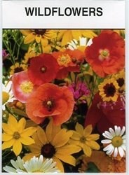 3 Large Wildflower Seed Packets