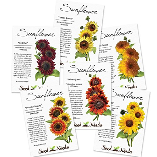 Crazy Sunflower Seed Packet Assortment 6 Individual Seed Packets Non-gmo Seeds By Seed Needs