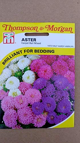 AGROBITS Astercarpetballmixed flowerseeds Thompsonandmorgan freshstock