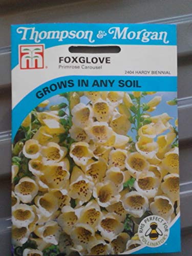 AGROBITS foxgloveprimrosecarousel flowerseeds Thompsonandmorgan freshstock