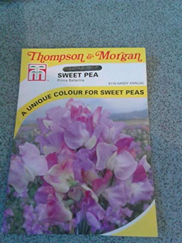 AGROBITS sweetpeaprimaballerina flowerseeds Thompsonandmorgan freshstock