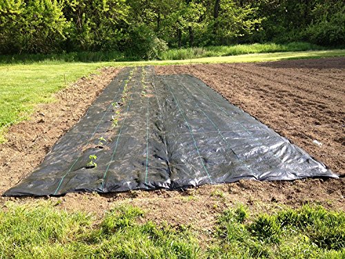 Agfabric Easy-Plant Weed Block MulchWeed Barrier Fabric with planting hole Garden Mat 29oz 4x12 Hole Dia 3 12spacingx3rows
