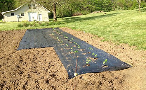 Agfabric Easy-Plant Weed Block MulchWeed Barrier Fabric with planting hole garden mat 29oz 4x6 Hole Dia 4 8spacingx4rows