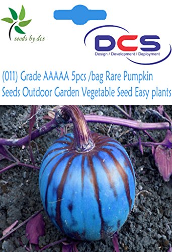 DCS 011Grade Aaaaa 5Pcs Bag Rare Pumpkin Seeds Outdoor Garden Vegetable Seed Easy Plants Dark Blue Colour ulticolor M Multicolor