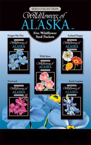 Alaska Wildflower Seeds Pack Of 5 Varieties Gift Boxed