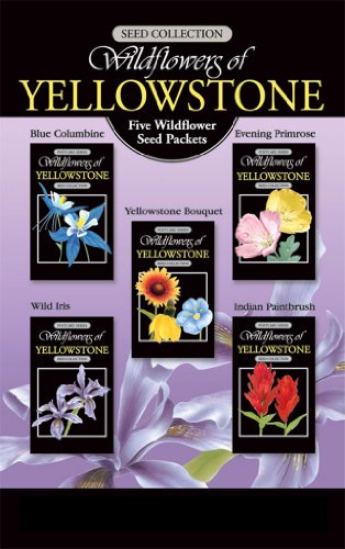 Yellowstone Wildflower Seeds Pack Of 5 Varieties Gift Boxed