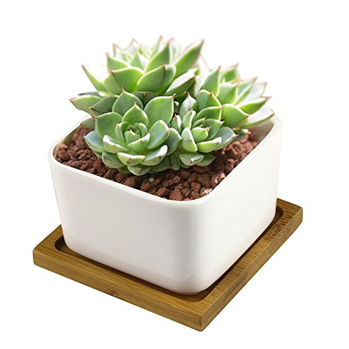 Ceramic Flower PotsY&MTM Decorative Mini White Square Sucuulent Flower Pot  Cactus Plant Pot with Bamboo Tray