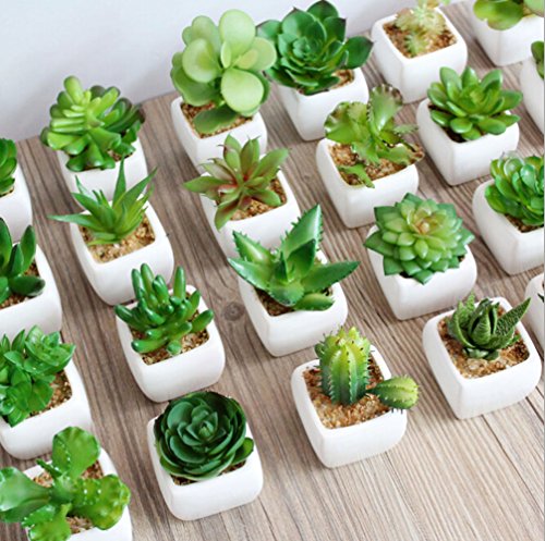 Dutch Brook Mini Potted Simulation Succulents Artificial Cactus Plants for Home Office Garden Decor Sent Randomly