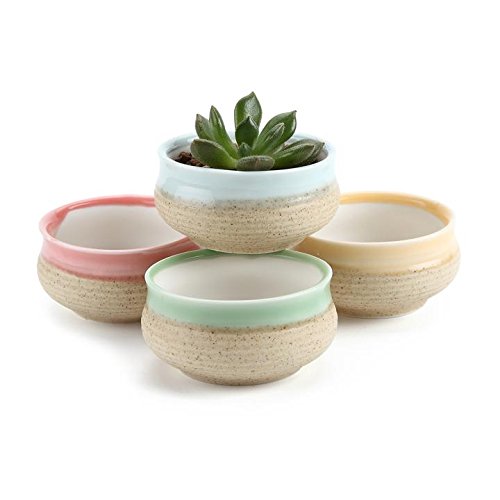 T4U 275 Inch Ceramic Sugar Serial succulent Plant PotCactus Plant Pot Flower PotContainerPlanter Green Package 1 Pack of 4