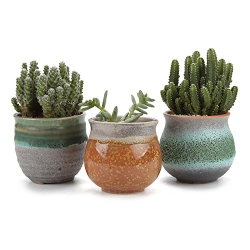 T4U 275 Inch Ceramic Summer Trio succulent Plant PotCactus Plant Pot Flower PotContainerPlanter Green Package 1 Pack of 3