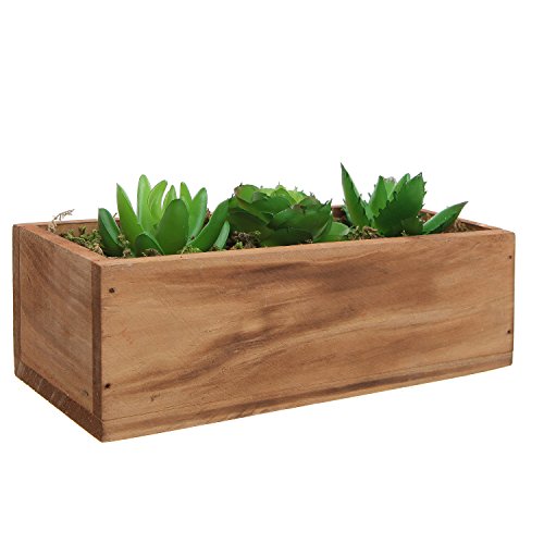 3 Faux Succulent Plants Moss Decorative Windowsill Wood Plant Container Box