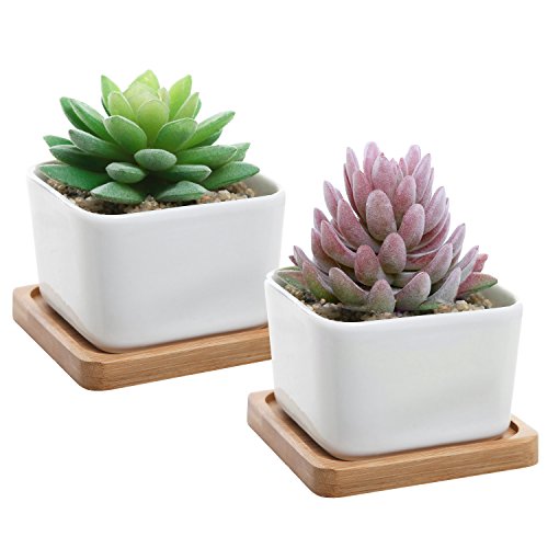 Set of 2 Decorative Small White Square Ceramic Succulent Plant Pot w Bamboo Draining Tray - MyGiftÂ