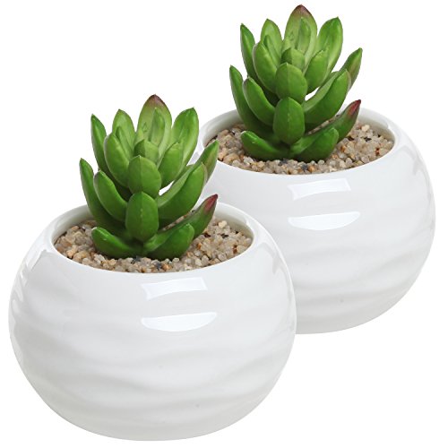 Set of 2 Small Round White Ceramic Textured Succulent Plant Pots  Decorative Herb Container Planters - MyGiftÂ