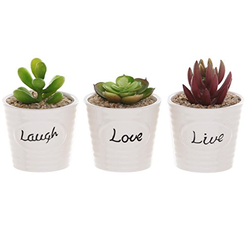 Set of 3 White Ceramic Ribbed Design LIVE LAUGH LOVE Expression Succulent Plant Pot Containers - MyGiftÂ