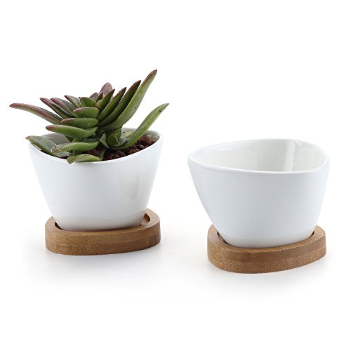 T4U 3 Inch Ceramic White Misalignment Traiangle Design succulent Plant PotCactus Plant Pot With Bamboo Tray Package 1 Pack of 2