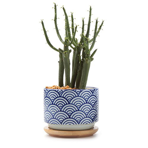 T4U 3 Inch Ceramic japanese Style Serial No3 succulent Plant PotCactus Plant Pot Flower PotContainerPlanter White