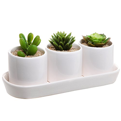 White Ceramic Contemporary Design Succulent Plant Holder Display Set w 3 Pots 1 Water Draining Tray
