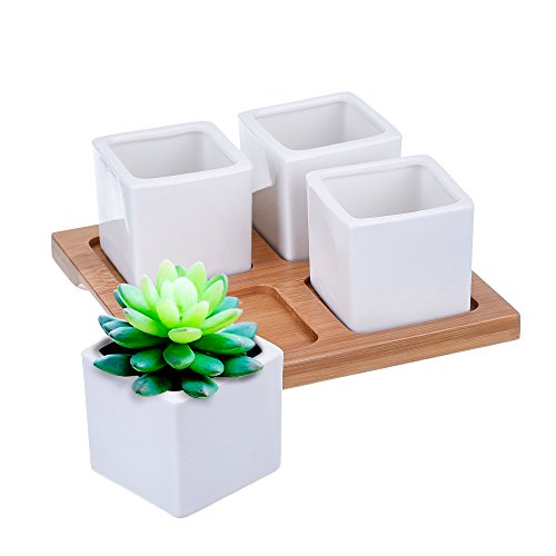 Antner 4pcs 2 Inches Ceramic Succulents Plant Pots Cactus Flower Planters with Bamboo Tray
