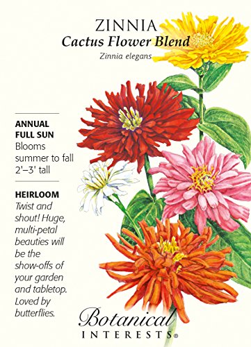 Cactus Flower Blend Zinnia Seeds - 750 mg