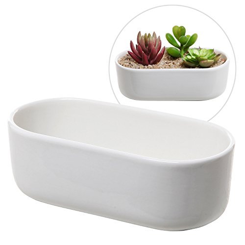 Modern Oval Design White Ceramic Succulent Plant Holder  Decorative Cactus Flower Planter Pot