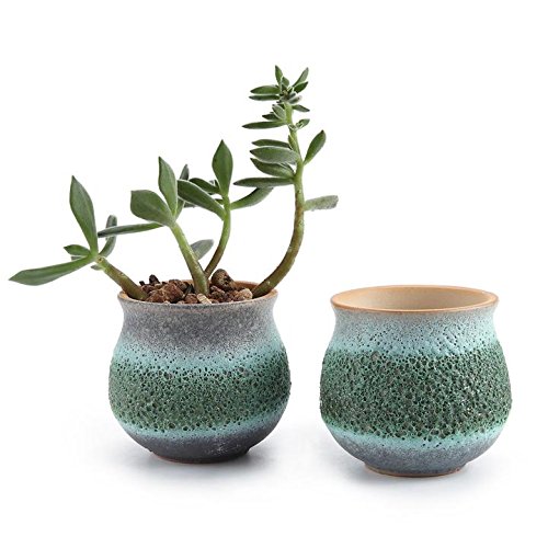 T4u 275 Inch Ceramic Summer Trio No1 Sucuulent Plant Potcactus Plant Pot Flower Potcontainerplanter Green