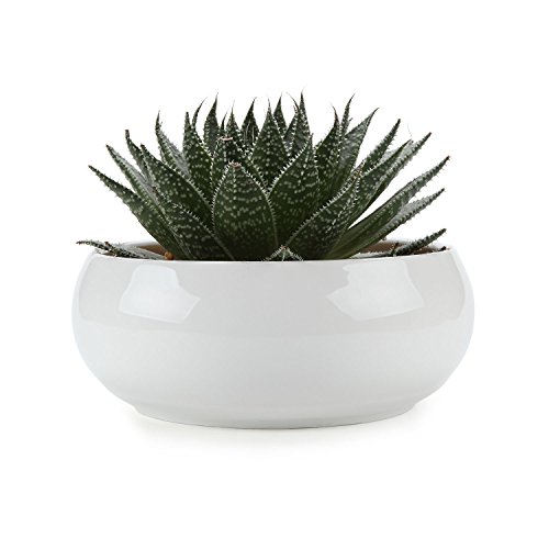 T4u 65 Inch Ceramic White Round Simple Design Sucuulent Plant Potcactus Plant Pot Flower Potcontainerplanter
