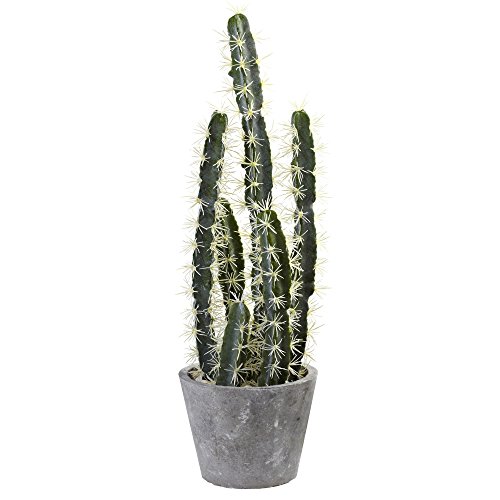 Nearly Natural Indoor Decorative Decorative Cactus Garden With Cement Planter
