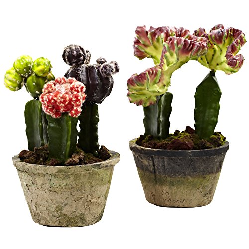 New Colorful Cactus Gardens Set of 2 Silk Plant