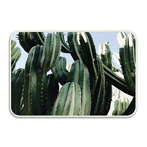 Huayuanhurug Green Cactus Tree Cute Bathroom Kitchen Front Door Mats Capet 16 x 24 Inside Outside Mat