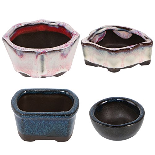 Happy Bonsai 4 Mini Glazed Pots  Small Succulent Plant Flower Planters