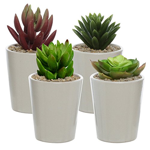 Set of 4 Ceramic Minimalist Design Mini Plant Pots  Windowsil Small Succulent Planters Off White