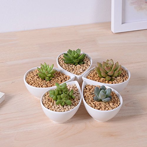 Succulent Pot Herb Planter or Cactus Pot - White Minimalist Teardrop Pot - 41 x 19 x 3 inches - Indoor Outdoor Planter by Gander Lane