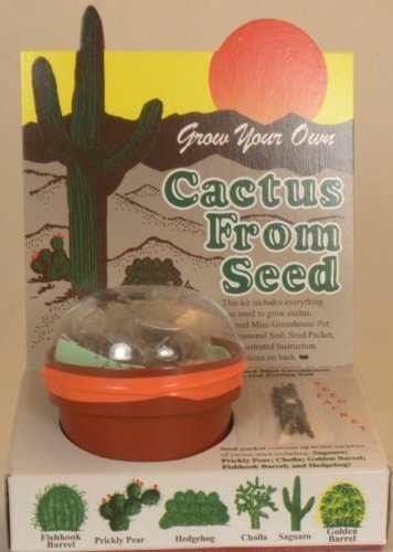 Grow Your Own Cactus From Seeds - Cacti Seed - Assortment Of Different Cactus Seeds