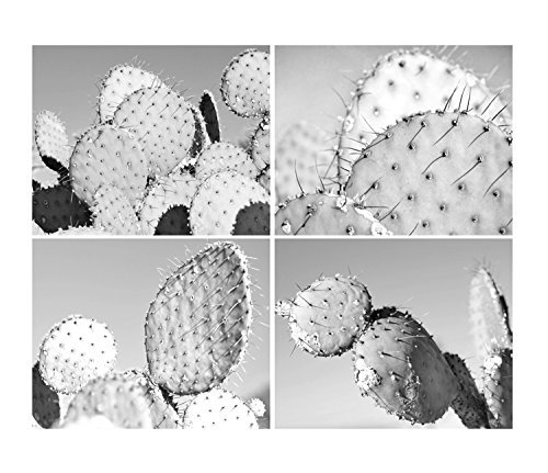 Black and White Photography Cactus Wall Art Set of 4 Prints Cactus Cacti Photos Succulent Art Prints Southwest Wall Art Desert Art Tropical Wall Pictures - 25 off discount
