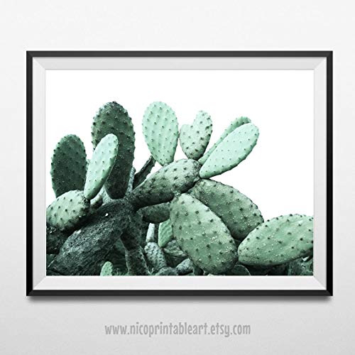 Flowershave357 Cactus Print Cactus Wall Art Cactus Poster Cactus Modern Print Cactus Photography Large Cactus Poster Cactus Art Cactus Wall Decor