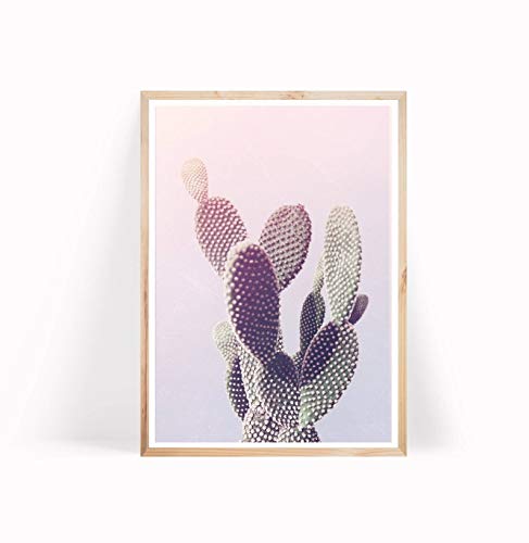 Jackila Desert Cactus Photography Bunny Ear Cactus Poster Gifts Wall Art Print Painting Home Decor Gifts for Lovers Poster