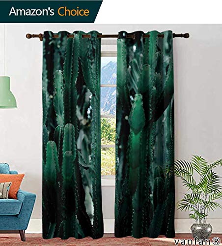 LQQBSTORAGE Custom Pattern Curtains with Valance Cactus Photography Giant Cactus Curtains for Boys Room W84 x L84 Inch 2 Panels
