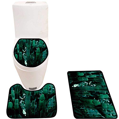 Non Slip Bathroom Rugs Cactus Photography gi t Cactus Absorbent Cover