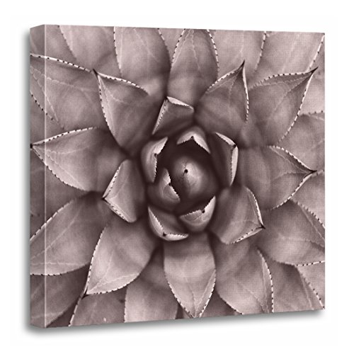 TORASS Canvas Wall Art Print Gray Close Modern Succulent Botanical Blush Cactus Photography Artwork for Home Decor 20 x 20