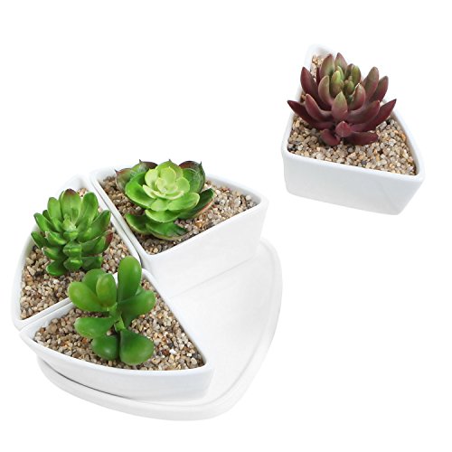 Decorative White Ceramic Centerpiece Planter Set Of 4 Small Water Draining Succulent Pots W/ Plant Saucer
