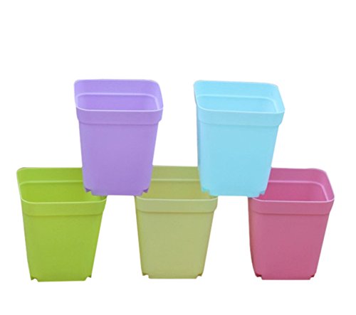 Hosaire 14pcs Colorful Mini Square Plastic Pots Small Succulent PotsNursery pots