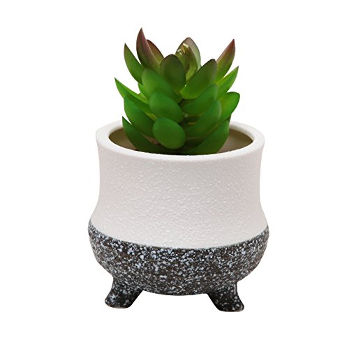 Modern Decorative Small Ceramic Succulent Planter Flower Pot / Desktop Organizer Pen Holder - Mygift®
