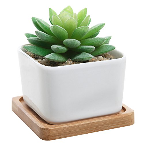 Modern Decorative Small White Square Ceramic Succulent Plant Pot W/ Bamboo Draining Tray - Mygift